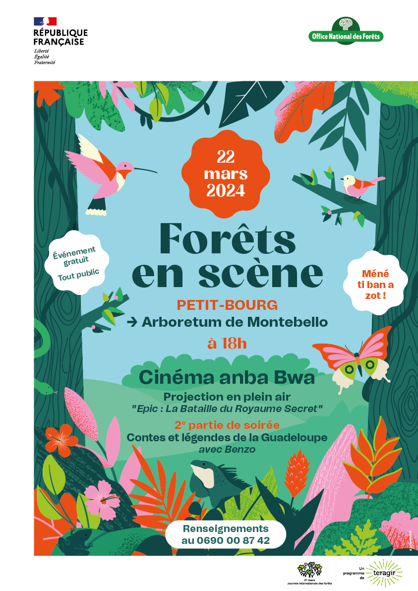 Journée Internationale des Forêts édition 2024 à Petit-Bourg