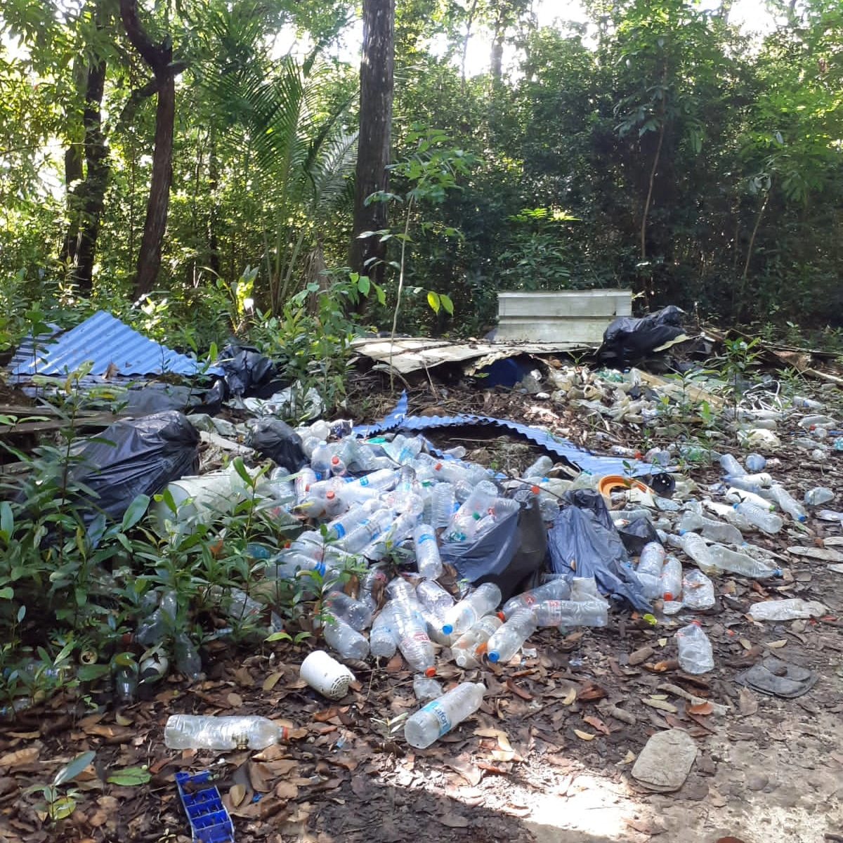 Dépôt sauvage dans la forêt Nesty