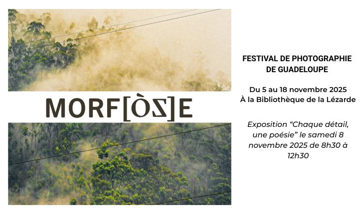 Festival Fototras 2025