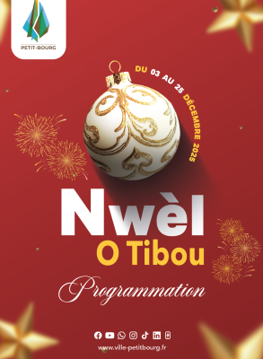 WEB Programme Nwèl O Tibou VF